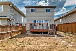 Photo 22: 2465 Sagewood Crescent SW: Airdrie Detached for sale : MLS®# A2125738