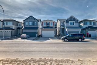 Photo 46: 3610 Cornerstone Boulevard NE in Calgary: Cornerstone Detached for sale : MLS®# A2125707