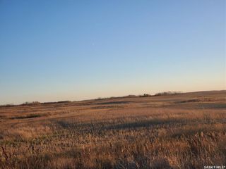 Photo 6: Grain Land - RM of Wallace #243 in Wallace: Farm for sale (Wallace Rm No. 243)  : MLS®# SK949846