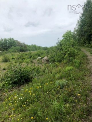 Photo 2: Lot Morganville Road in Bear River: Annapolis County Vacant Land for sale (Annapolis Valley)  : MLS®# 202213446