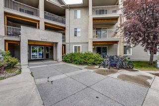 Main Photo: 205 3000 Citadel Meadow Point NW in Calgary: Citadel Apartment for sale : MLS®# A1240957