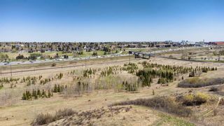 Photo 5: 927 Robert Road NE in Calgary: Renfrew Detached for sale : MLS®# A2046776