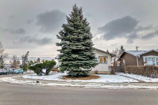 Photo 43: 504 Penworth Drive SE in Calgary: Penbrooke Meadows Detached for sale : MLS®# A2118712