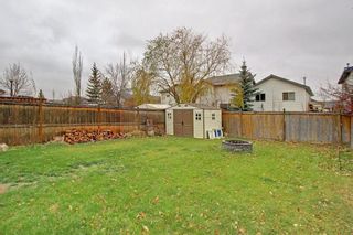 Photo 30: 212 MT APEX Green SE in Calgary: McKenzie Lake House for sale : MLS®# C4144299