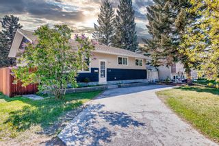 Photo 2: 164 Haddon Road SW in Calgary: Haysboro Detached for sale : MLS®# A1225673