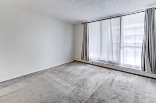 Photo 20: 4E 133 25 Avenue SW in Calgary: Mission Apartment for sale : MLS®# A2085043