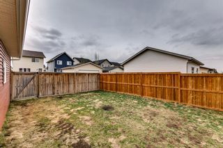 Photo 28: 225 Silverado Plains Close SW in Calgary: Silverado Detached for sale : MLS®# A1222196
