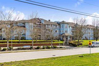 Photo 1: 209 11510 225 Street in Maple Ridge: East Central Condo for sale : MLS®# R2446932