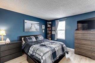 Photo 21: 8 Erin Ridge Place SE in Calgary: Erin Woods Detached for sale : MLS®# A1187064