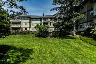 Photo 16: 306 20120 56 Avenue in Langley: Langley City Condo for sale in "Blackberry Lane" : MLS®# R2084458