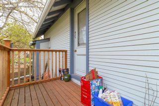 Photo 27: 2595 Cook St in Victoria: Vi Oaklands House for sale : MLS®# 933824