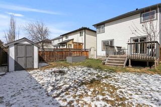 Photo 20: 67 SILVER SPRINGS Way NW: Airdrie Detached for sale : MLS®# A2123786