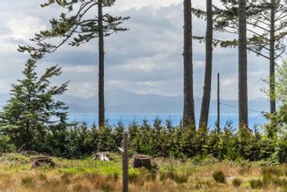 Photo 52: 7271 Bethany Pl in Sooke: Sk Whiffin Spit House for sale : MLS®# 904529
