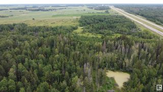 Photo 5: Hwy 43 Rge Rd 51: Rural Lac Ste. Anne County Rural Land/Vacant Lot for sale : MLS®# E4308081