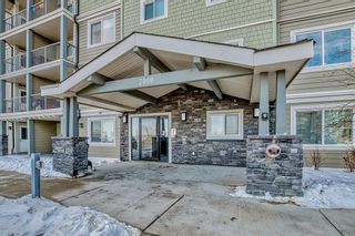 Photo 1: 2414 181 Skyview Ranch Manor NE in Calgary: Skyview Ranch Apartment for sale : MLS®# A2034924