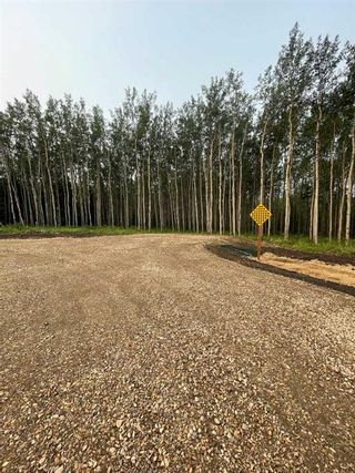 Photo 10: lot 2 Range Road 84 Township Road 722: Wembley Residential Land for sale : MLS®# A2105073