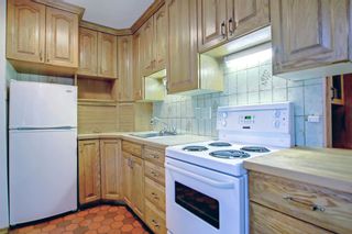 Photo 15: 3428 34 Avenue SW in Calgary: Rutland Park Detached for sale : MLS®# A2007438