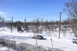 Photo 38: Photos: 481 Raglan Road in Winnipeg: Wolseley Single Family Detached for sale (5B)  : MLS®# 202005293