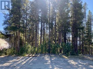 Photo 5: 290 COUGAR Road in Oliver: Vacant Land for sale : MLS®# 201269