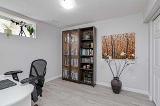 Photo 28: 23 Dover Meadow Close SE in Calgary: Dover Detached for sale : MLS®# A2131543