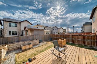 Photo 41: 50 Skyview Shores Crescent NE in Calgary: Skyview Ranch Detached for sale : MLS®# A2125037