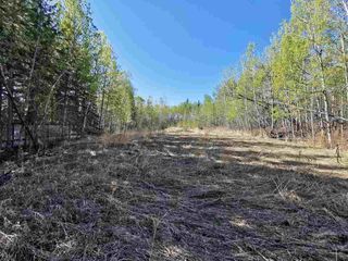 Photo 4: 12925 CHERRY Road: Charlie Lake Land for sale in "CHARLIE LAKE" (Fort St. John (Zone 60))  : MLS®# R2519694