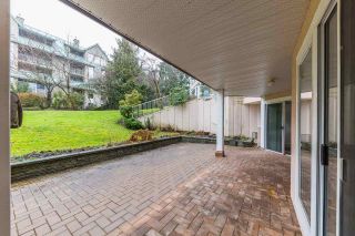 Photo 11: 101 11605 227 Street in Maple Ridge: East Central Condo for sale : MLS®# R2230629