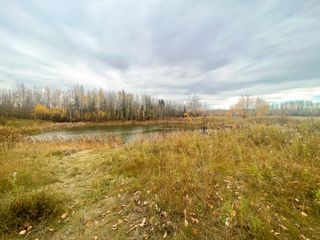Photo 5: 3149 Highway 97 in Dawson Creek Rural: Land for sale (Dawson Creek) 