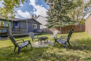 Photo 4: 511 Ranchridge Court NW in Calgary: Ranchlands Detached for sale : MLS®# A1258754