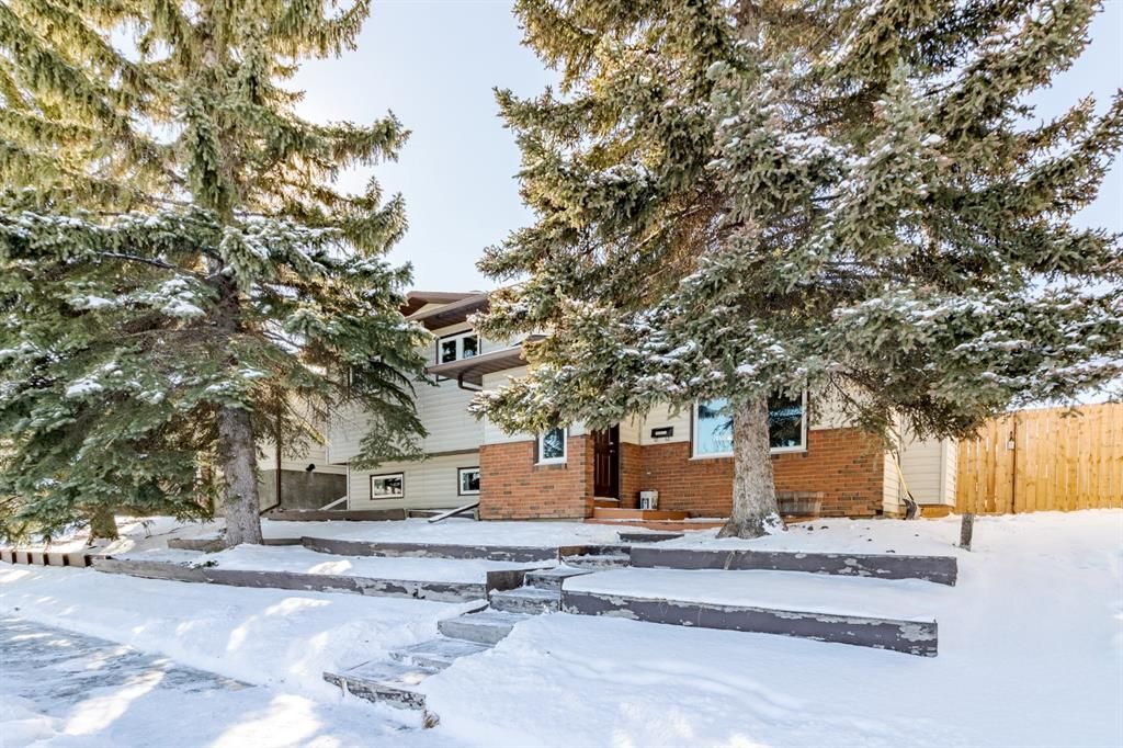Main Photo: 171 Bedford Drive NE in Calgary: Beddington Heights Detached for sale : MLS®# A1185599