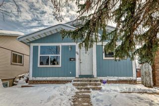 Main Photo: 176 Dovely Crescent SE in Calgary: Dover Detached for sale : MLS®# A2118047