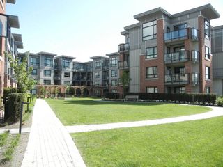 Photo 15: 216 7058 14TH Avenue in Burnaby: Edmonds BE Condo for sale (Burnaby East)  : MLS®# R2200956
