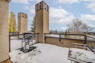 Photo 9: 5 226 Village Terrace SW in Calgary: Patterson Apartment for sale : MLS®# A2033269