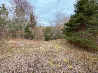 Photo 18: Sherbrooke Road in Greenvale: 108-Rural Pictou County Vacant Land for sale (Northern Region)  : MLS®# 202111683