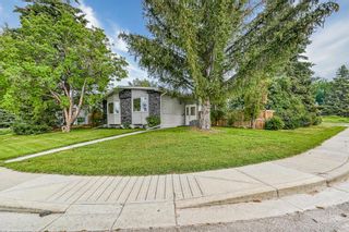 Photo 36: 3204 Bearspaw Drive NW in Calgary: Brentwood Detached for sale : MLS®# A1250279