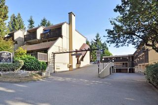 Photo 20: 1 1811 PURCELL Way in North Vancouver: Lynnmour Condo for sale : MLS®# R2396990