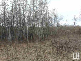 Photo 5: 81 15065 TWP RD 470: Rural Wetaskiwin County Vacant Lot/Land for sale : MLS®# E4287177