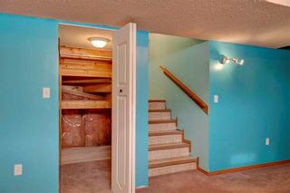 Photo 28: 254 SARATOGA Close NE in Calgary: Monterey Park House for sale : MLS®# C4165371