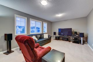 Photo 38: 19 Evansford Road NW in Calgary: Evanston Detached for sale : MLS®# A2001683
