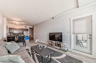 Photo 18: 1213 8710 Horton Road SW in Calgary: Haysboro Apartment for sale : MLS®# A2113897