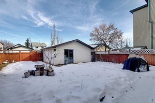 Photo 40: 60 Country Hills Grove NW in Calgary: Country Hills Detached for sale : MLS®# A1074597