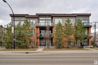 Photo 6: 201 10606 84 Avenue in Edmonton: Zone 15 Condo for sale : MLS®# E4383040