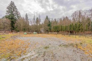Photo 7: 10112 DEWDNEY TRUNK Road in Mission: Mission BC House for sale in "RICHARD; KEYSTONE;FERNDALE" : MLS®# R2857361