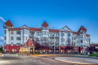 Photo 22: 227 60 Royal Oak Plaza NW in Calgary: Royal Oak Apartment for sale : MLS®# A1245784