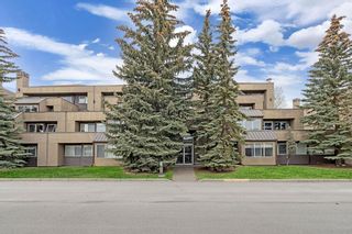 Photo 28: 5 207 Village Terrace SW in Calgary: Patterson Apartment for sale : MLS®# A2045542