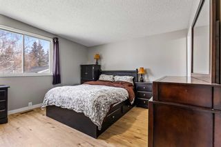 Photo 13: 456 Cedarille Crescent SW in Calgary: Cedarbrae Detached for sale : MLS®# A2129874