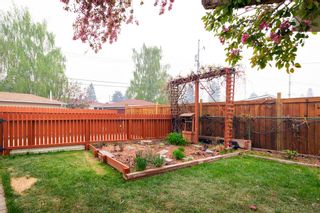 Photo 27: 2002 33 Street SE in Calgary: Southview Detached for sale : MLS®# A2049680