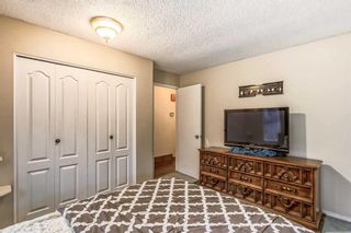 Photo 12: 84 Sprucegrove Crescent SE: Airdrie Detached for sale : MLS®# A2078242