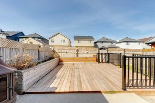 Photo 38: 25 Martha's Green NE in Calgary: Martindale Detached for sale : MLS®# A2129455