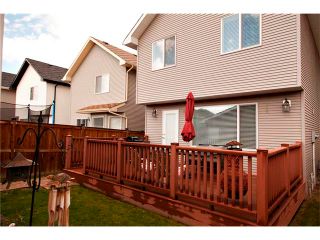 Photo 21: 270 CRANBERRY Close SE in Calgary: Cranston House for sale : MLS®# C4022802